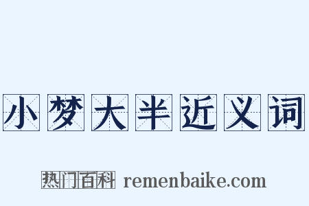 小梦大半近义词是什么意思的图片